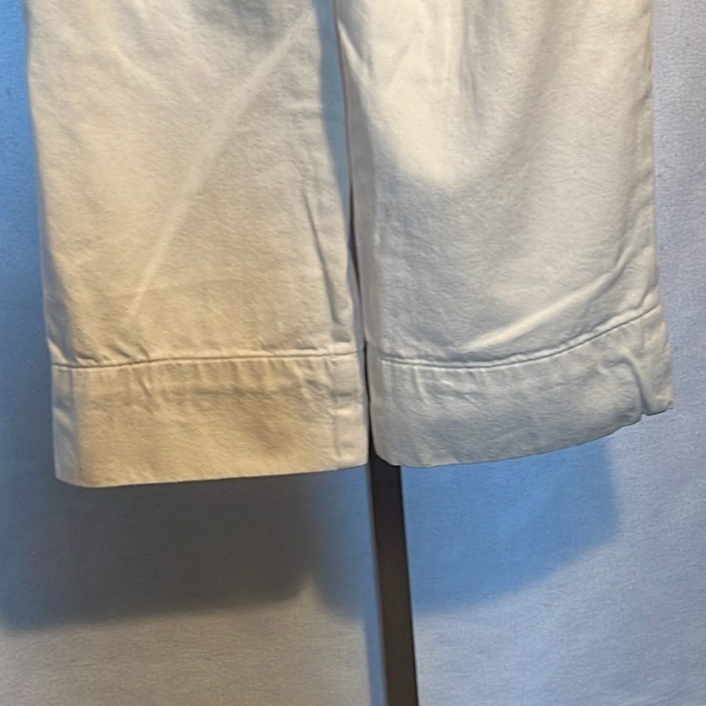 102 (Everlane Pants) - Picture 9 of 13